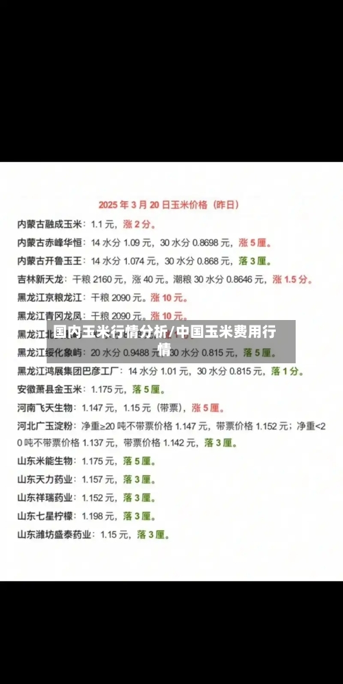 国内玉米行情分析/中国玉米费用行情-第1张图片