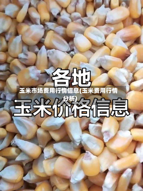 玉米市场费用行情信息(玉米费用行情分析)