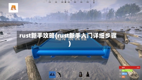 rust新手攻略(rust新手入门详细步骤)-第2张图片