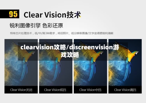 clearvision攻略/discreenvision游戏攻略-第2张图片