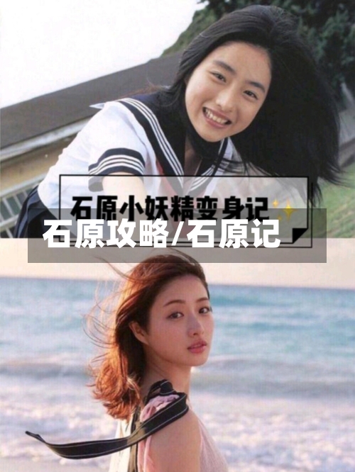 石原攻略/石原记