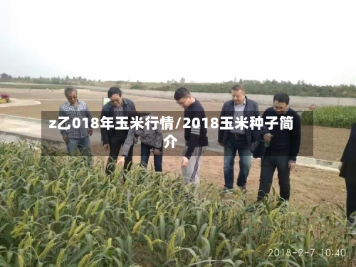 z乙018年玉米行情/2018玉米种子简介-第2张图片