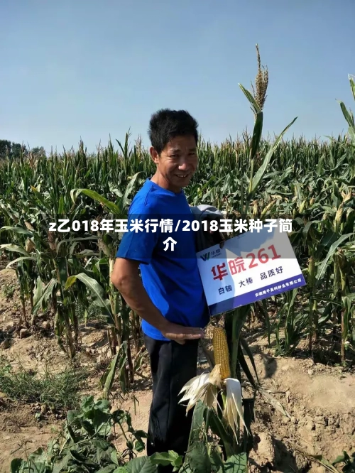 z乙018年玉米行情/2018玉米种子简介