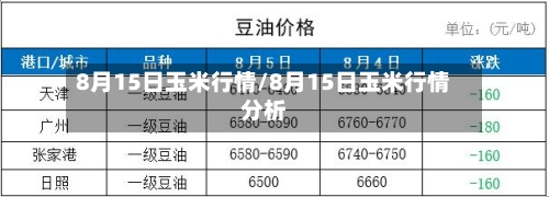 8月15日玉米行情/8月15日玉米行情分析