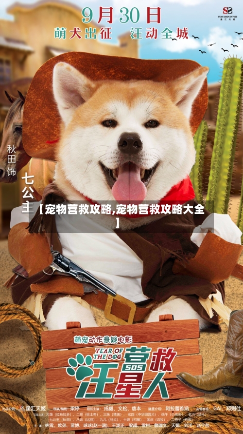 【宠物营救攻略,宠物营救攻略大全】