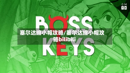 塞尔达缩小帽攻略/塞尔达缩小帽攻略bilibili-第2张图片