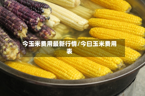 今玉米费用最新行情/今曰玉米费用表-第2张图片
