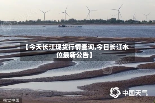 【今天长江现货行情查询,今日长江水位最新公告】-第2张图片