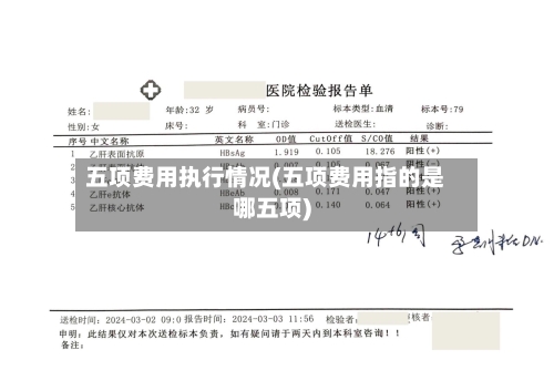 五项费用执行情况(五项费用指的是哪五项)-第1张图片