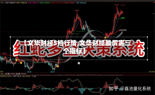 【文华财经5档行情,文华财经最厉害三个指标】-第2张图片