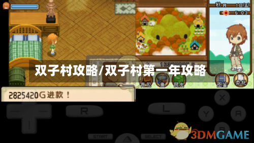 双子村攻略/双子村第一年攻略-第1张图片