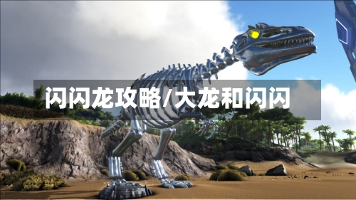 闪闪龙攻略/大龙和闪闪-第2张图片