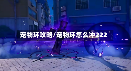 宠物环攻略/宠物环怎么冲222-第2张图片