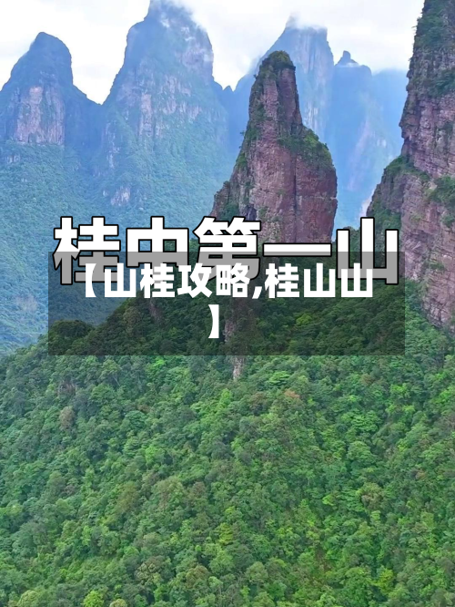 【山桂攻略,桂山山】