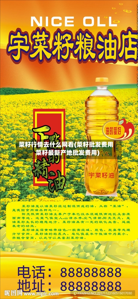 菜籽行情去什么网看(菜籽批发费用菜籽最新产地批发费用)