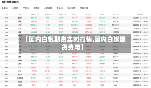 【国内白银期货实时行情,国内白银期货费用】