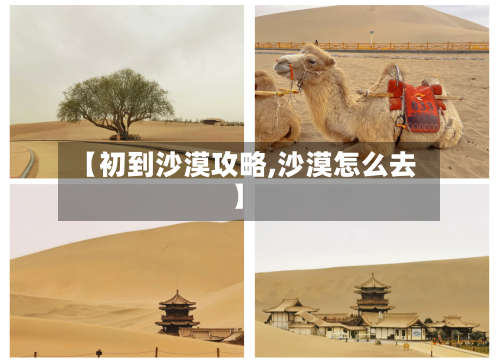 【初到沙漠攻略,沙漠怎么去】
