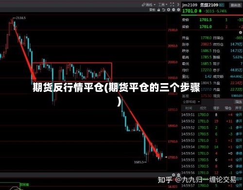 期货反行情平仓(期货平仓的三个步骤)-第3张图片