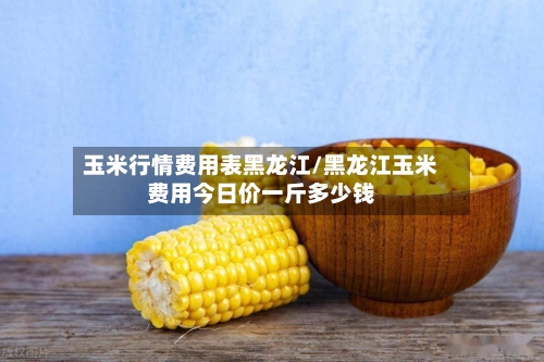 玉米行情费用表黑龙江/黑龙江玉米费用今日价一斤多少钱-第1张图片