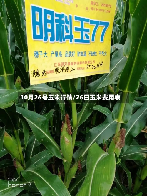 10月26号玉米行情/26日玉米费用表
