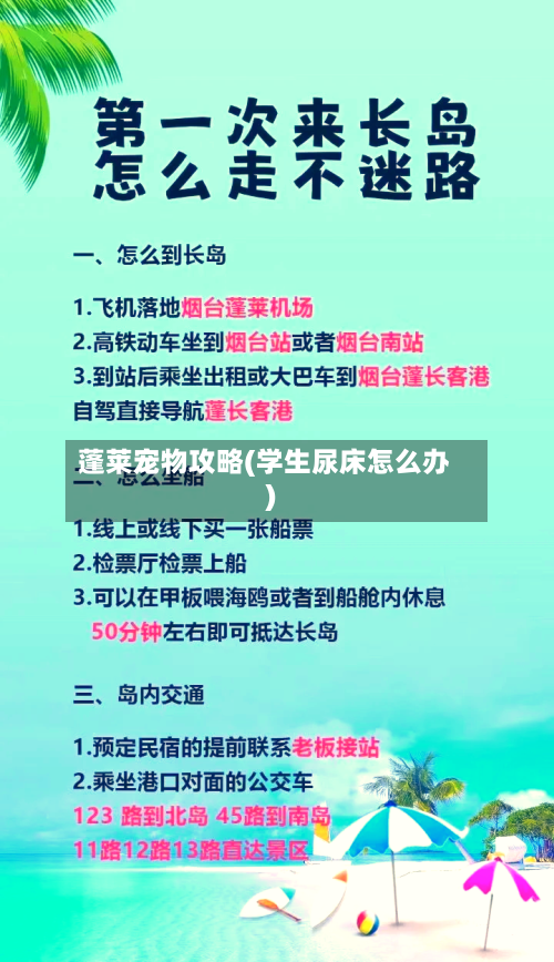 蓬莱宠物攻略(学生尿床怎么办)