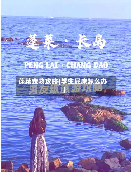 蓬莱宠物攻略(学生尿床怎么办)-第2张图片
