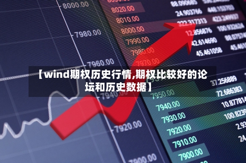【wind期权历史行情,期权比较好的论坛和历史数据】-第2张图片