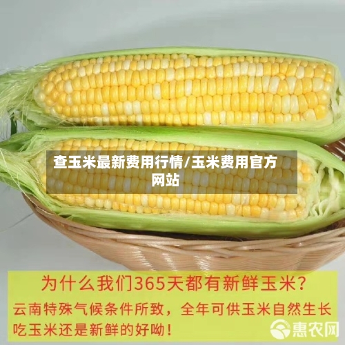 查玉米最新费用行情/玉米费用官方网站-第1张图片