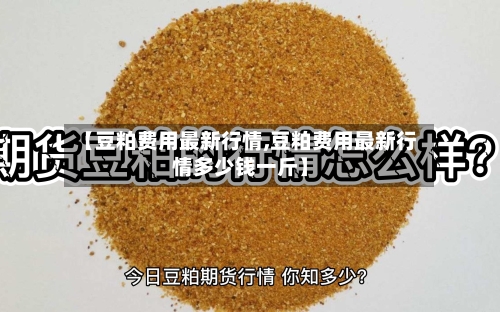 【豆粕费用最新行情,豆粕费用最新行情多少钱一斤】