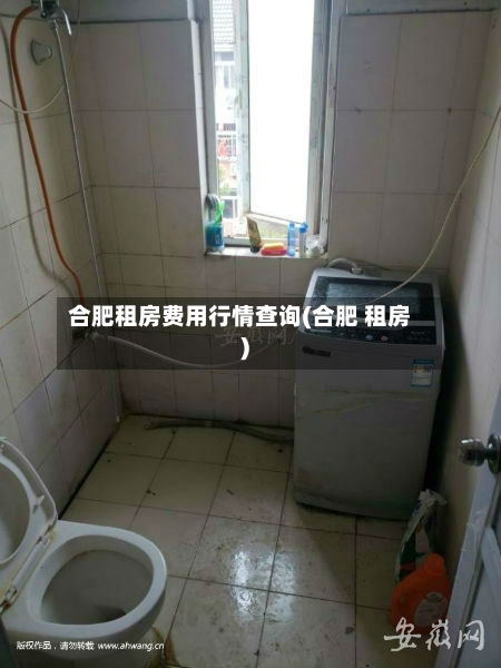 合肥租房费用行情查询(合肥 租房)-第2张图片