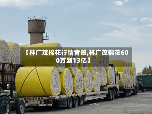 【林广茂棉花行情背景,林广茂棉花600万到13亿】