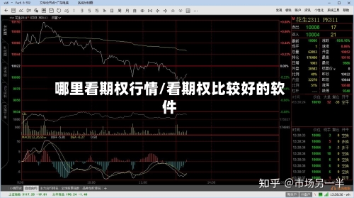 哪里看期权行情/看期权比较好的软件-第3张图片