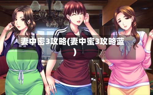 妻中密3攻略(妻中蜜3攻略蓝)