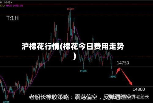沪棉花行情(棉花今日费用走势)-第1张图片