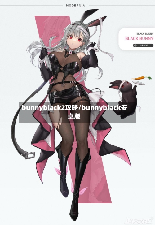 bunnyblack2攻略/bunnyblack安卓版