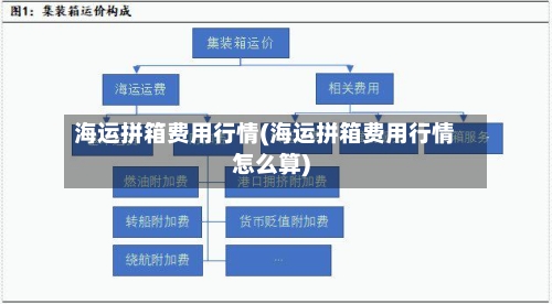 海运拼箱费用行情(海运拼箱费用行情怎么算)