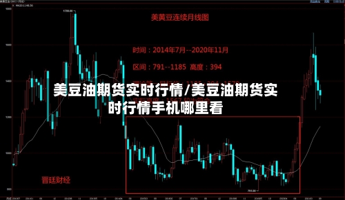 美豆油期货实时行情/美豆油期货实时行情手机哪里看-第2张图片