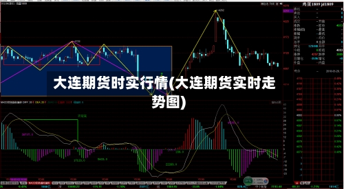 大连期货时实行情(大连期货实时走势图)-第2张图片