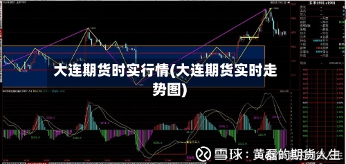 大连期货时实行情(大连期货实时走势图)-第1张图片