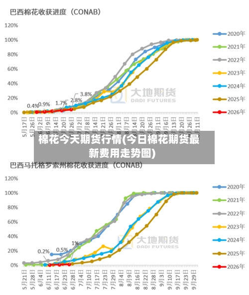 棉花今天期货行情(今日棉花期货最新费用走势图)-第1张图片