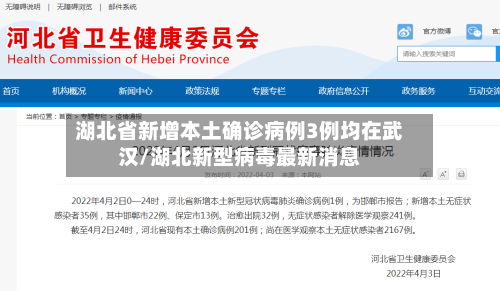 湖北省新增本土确诊病例3例均在武汉/湖北新型病毒最新消息-第1张图片