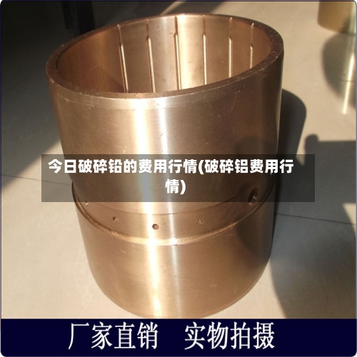 今日破碎铅的费用行情(破碎铝费用行情)