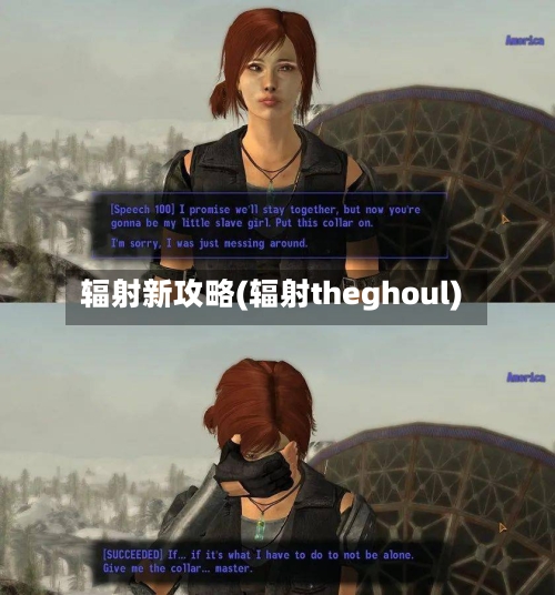辐射新攻略(辐射theghoul)