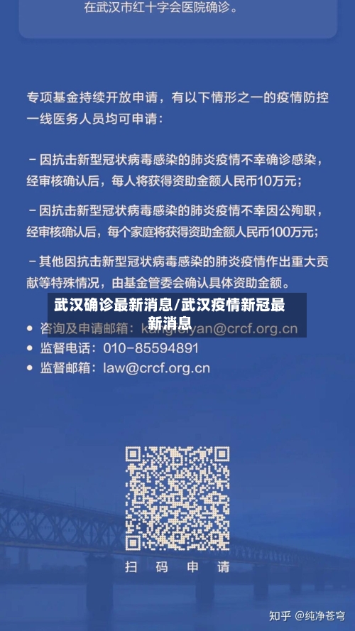 武汉确诊最新消息/武汉疫情新冠最新消息-第1张图片