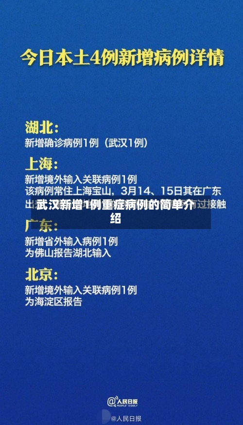 武汉新增1例重症病例的简单介绍