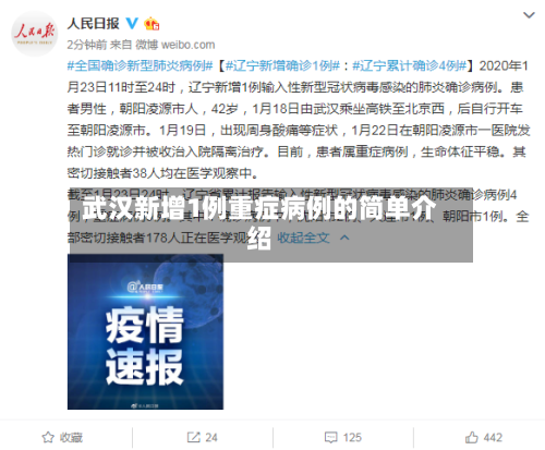 武汉新增1例重症病例的简单介绍-第2张图片