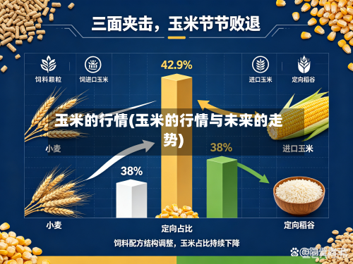 玉米的行情(玉米的行情与未来的走势)-第2张图片
