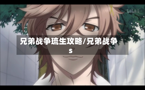 兄弟战争琉生攻略/兄弟战争s-第3张图片