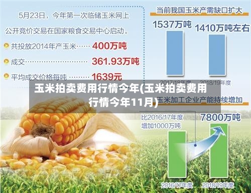 玉米拍卖费用行情今年(玉米拍卖费用行情今年11月)-第2张图片