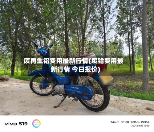 废再生铅费用最新行情(废铅费用最新行情 今日报价)-第2张图片